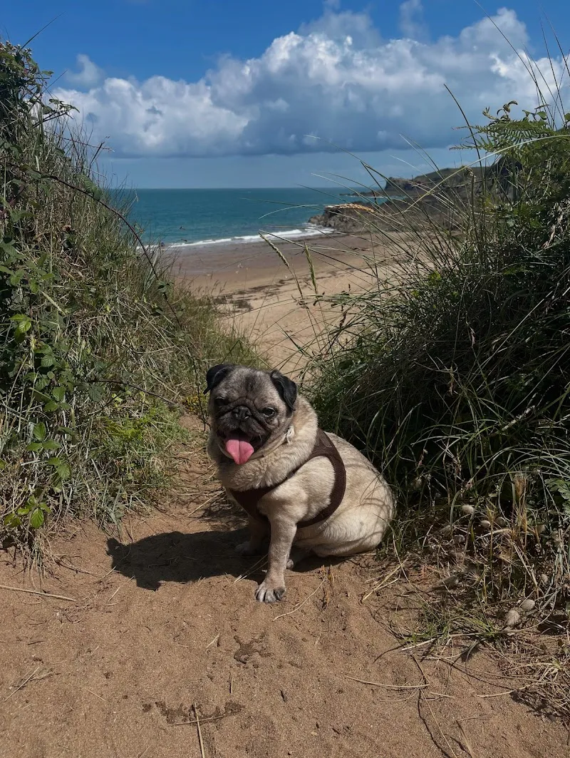 Tierarztpraxis im Salmenpark — Tierarzt in Rheinfelden, Aargau. Bewertung 4.9/5.