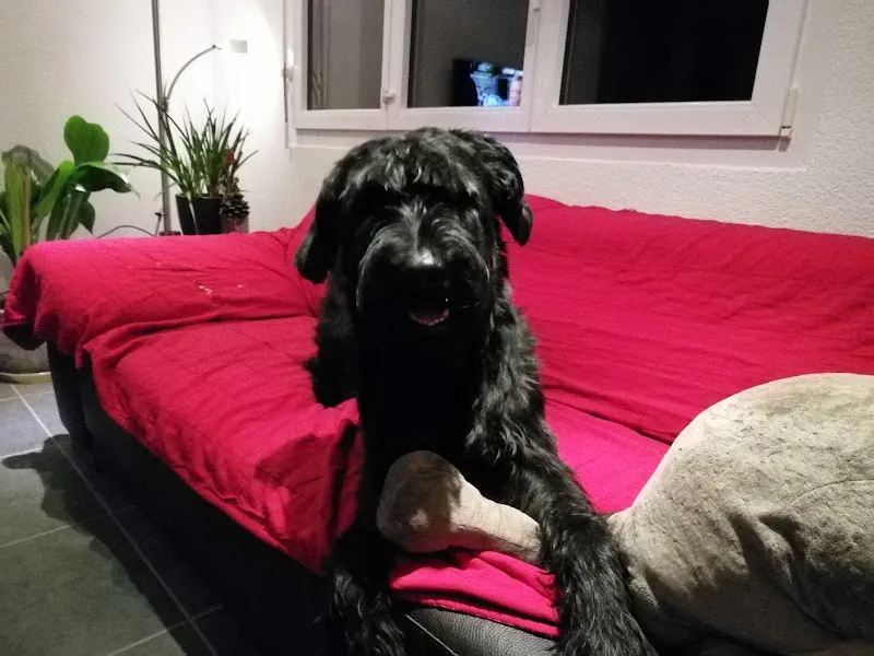 Tierarztpraxis im Salmenpark — Veterinarian, Rheinfelden, Aargau. Foto 3