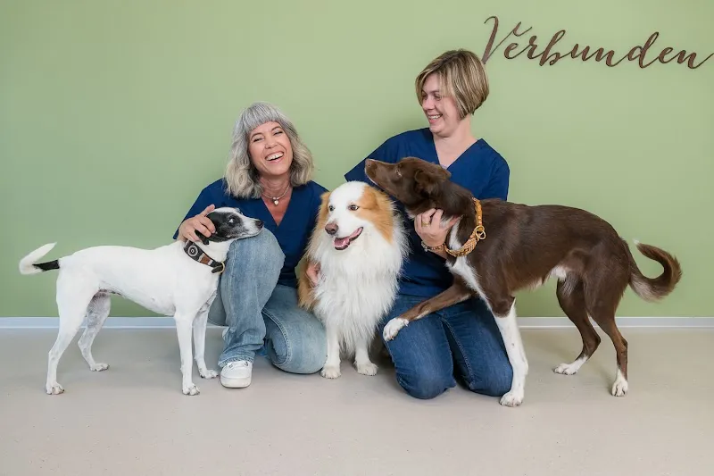 Vet-Homöopathie, Med.vet. Cayra Arcangioli-Studler, Homöopathie für Tiere — Tierarzt in Beinwil am See, Aargau. Bewertung 4.7/5.