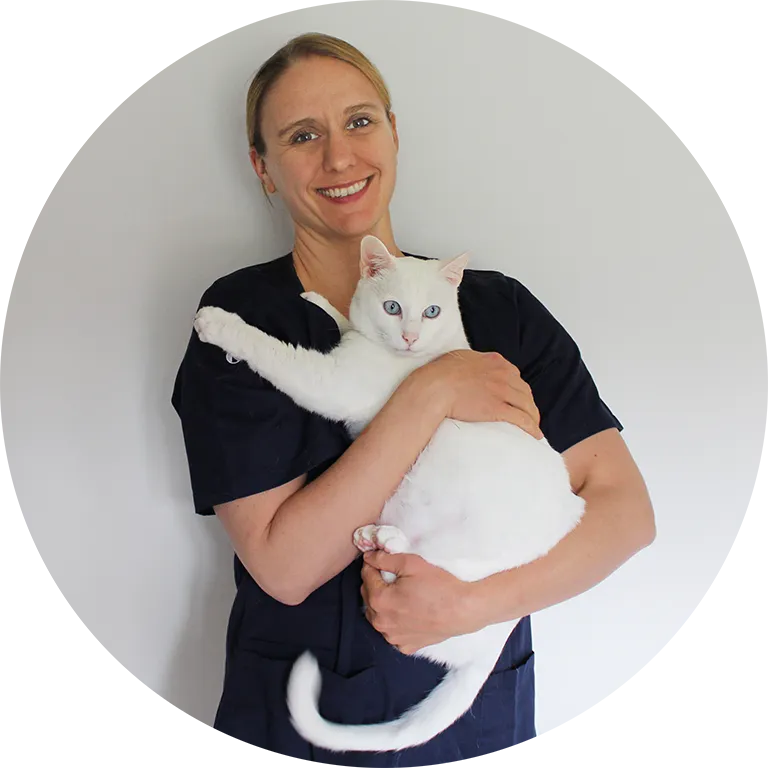 vet at home Farner - mobile Tierarztpraxis — Vétérinaire, Reinach, Argovie. Foto 3