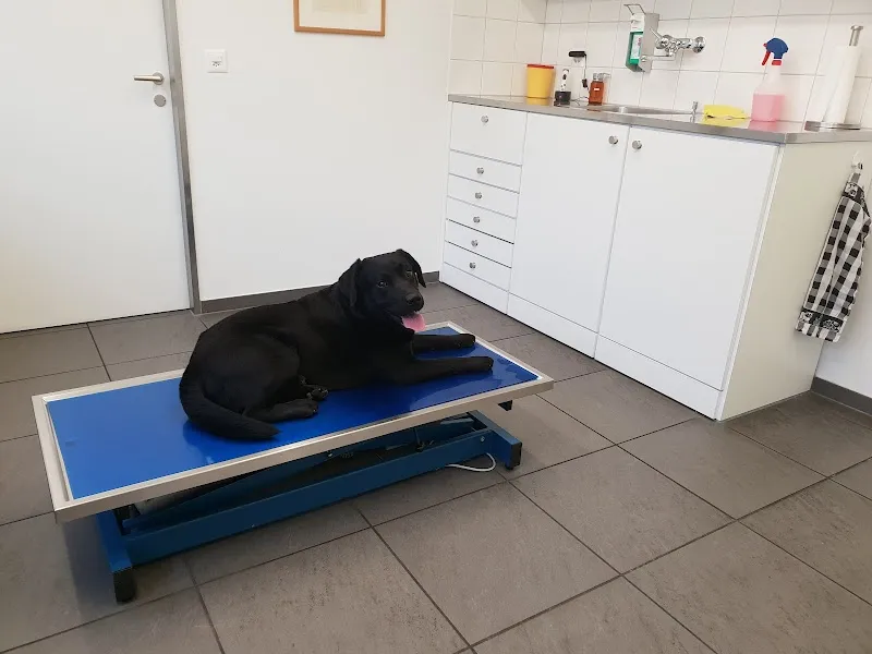 Basel.vet Kleintierärzte — Tierarzt, Basel, Basel-Stadt. Foto 2