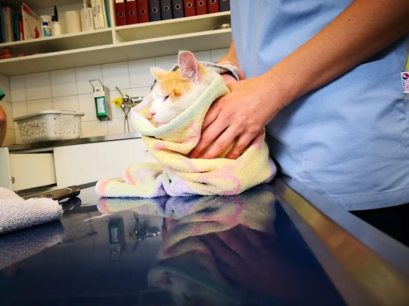 Basel.vet Kleintierärzte — Tierarzt, Basel, Basel-Stadt. Foto 3