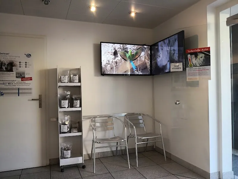 Dr. med. vet. Kleintierpraxis Grünfeld — Vétérinaire, Allschwil, Bâle-Campagne. Foto 3