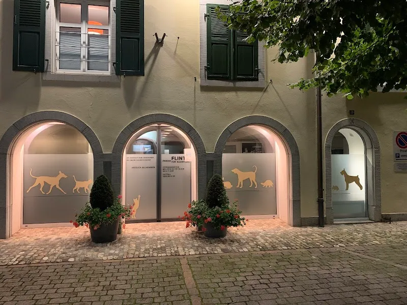 Flint‘s Praxis für Kleintiere — Refuge, Pratteln, Bâle-Campagne. Foto 2