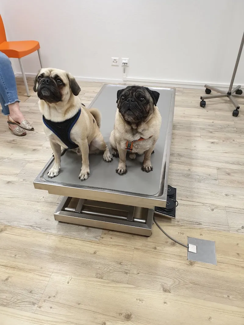 Flint‘s Praxis für Kleintiere — Refuge, Pratteln, Bâle-Campagne. Foto 3