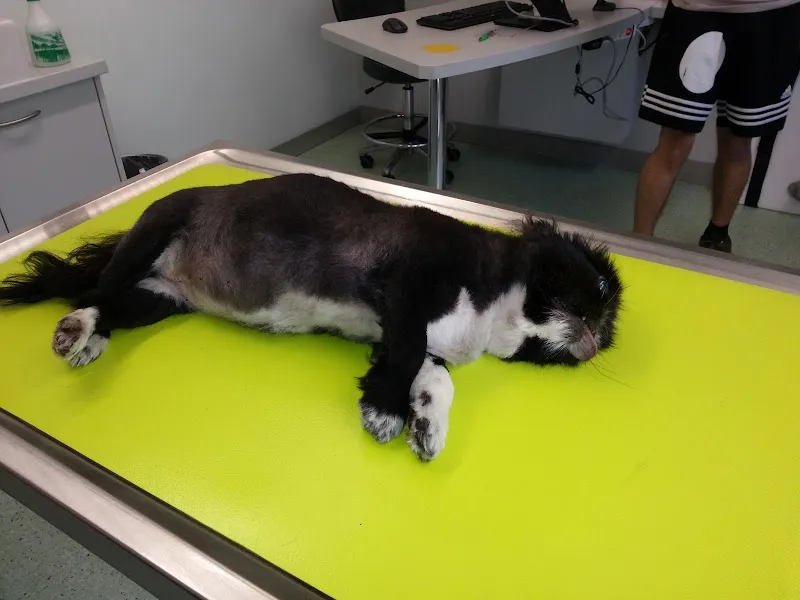 Kleintierklinik Klaus AG — Tierarzt in Liestal, Basel-Landschaft. Bewertung 4.5/5.