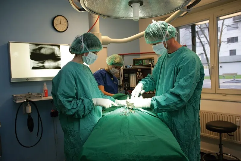 Kleintierpraxis Am Ring — Tierarzt in Basel, Basel-Stadt. Bewertung 4.0/5.