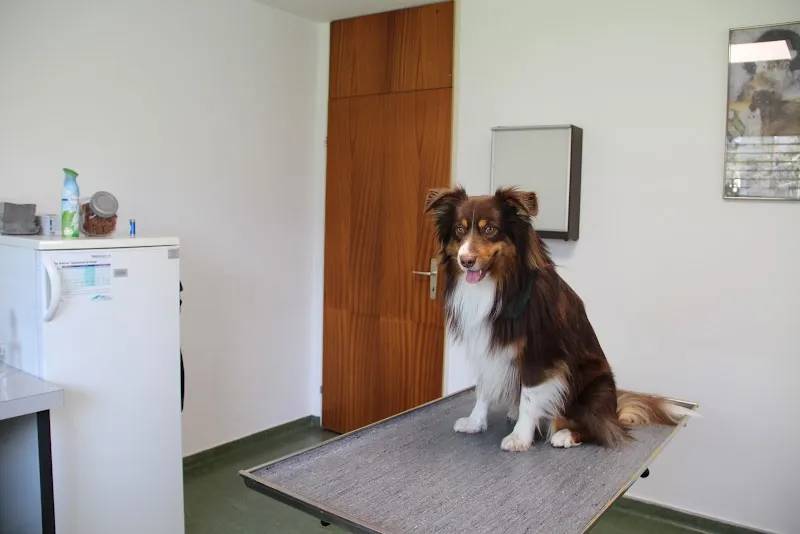 Kleintierpraxis Dr. Maute AG — Vétérinaire, Muttenz, Bâle-Campagne. Foto 2