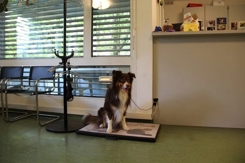 Kleintierpraxis Dr. Maute AG — Vétérinaire, Muttenz, Bâle-Campagne. Foto 3