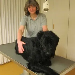 Kleintierpraxis Zampa — Veterinarian, Binningen, Basel-Country. Foto 3