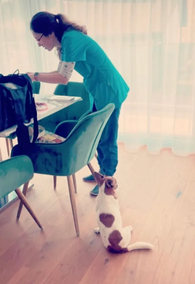 Mobile Kleintierärztin Maria Folz - Saudade — Veterinarian, Basel, Basel-City. Foto 2