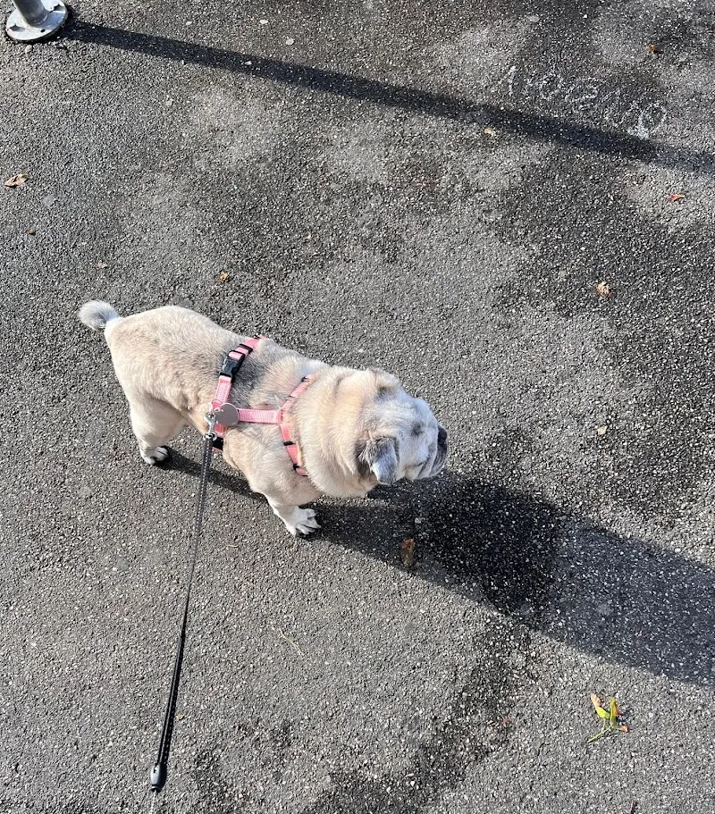 Tierdermatologie Basel — Vétérinaire, Münchenstein, Bâle-Campagne. Foto 2