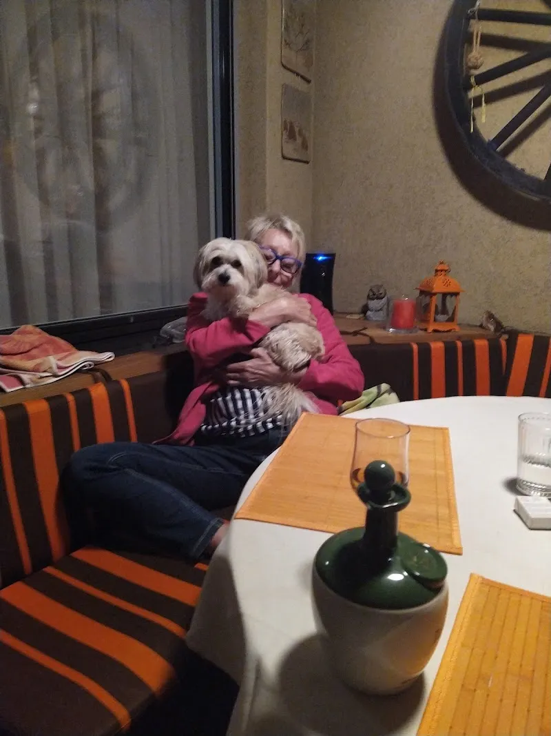 Tierpraxis mondo a, Dres. M. Gianini + C. Kaufmann — Vétérinaire, Riehen, Bâle-Ville. Foto 3