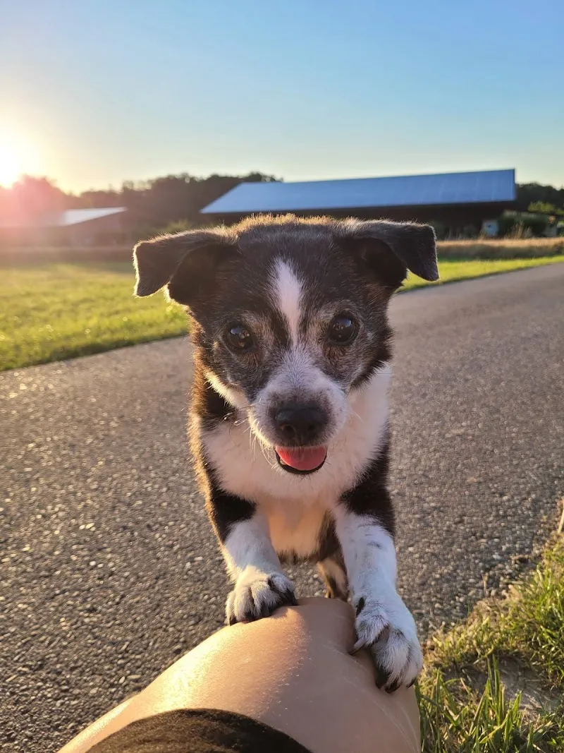 VETCARE, Pferde- und Kleintierpraxis AG — Tierarzt, Therwil, Basel-Landschaft. Foto 2