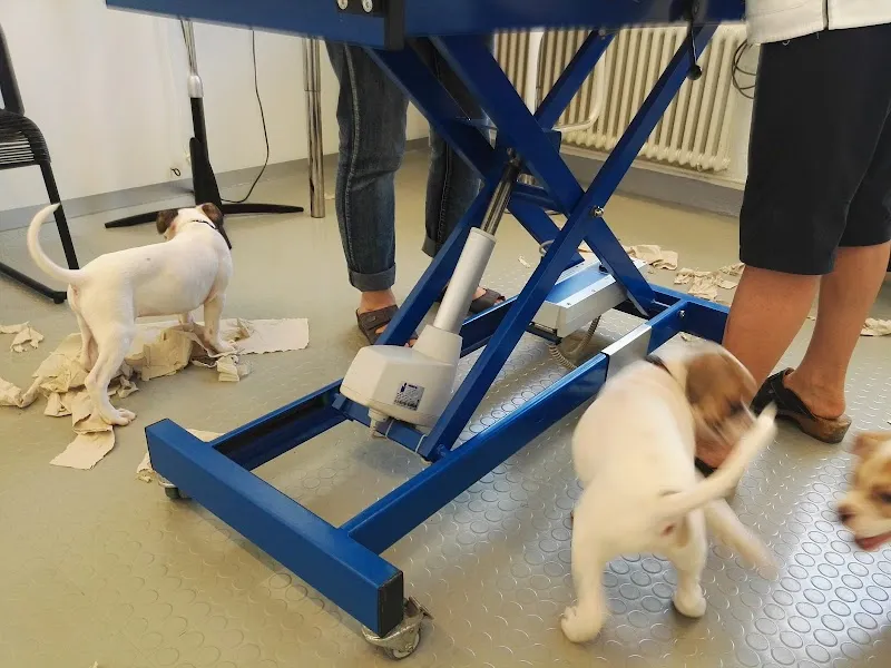 VETCARE, Pferde- und Kleintierpraxis AG — Tierarzt, Therwil, Basel-Landschaft. Foto 3