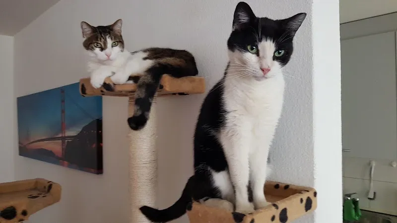 VetTrust Kleintierpraxis Basel City — Tierarzt, Basel, Basel-Stadt. Foto 3