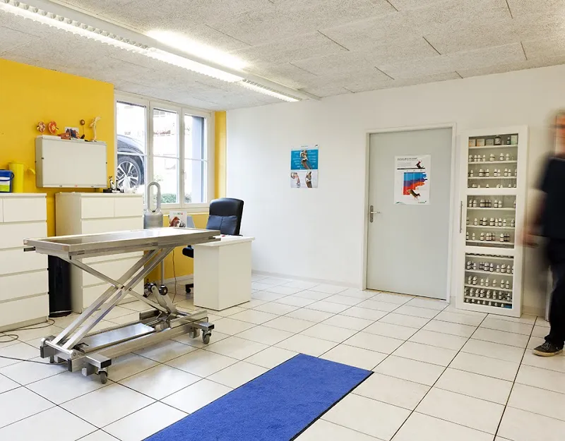 Dr. med. vet. Frey Artur — Tierarzt, Steffisburg, Bern. Foto 3