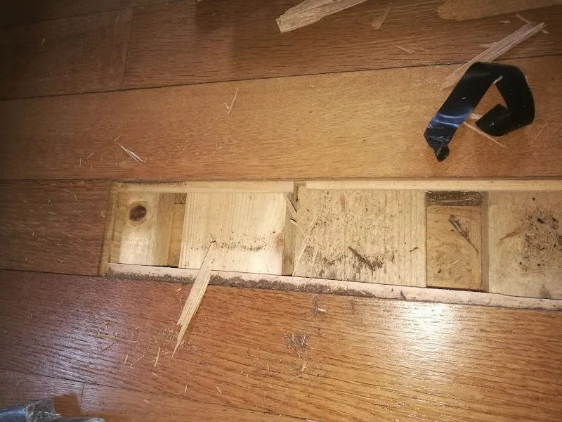 Dr.med.vet. Andreas Roesti — Tierarzt, Wimmis, Bern. Foto 2