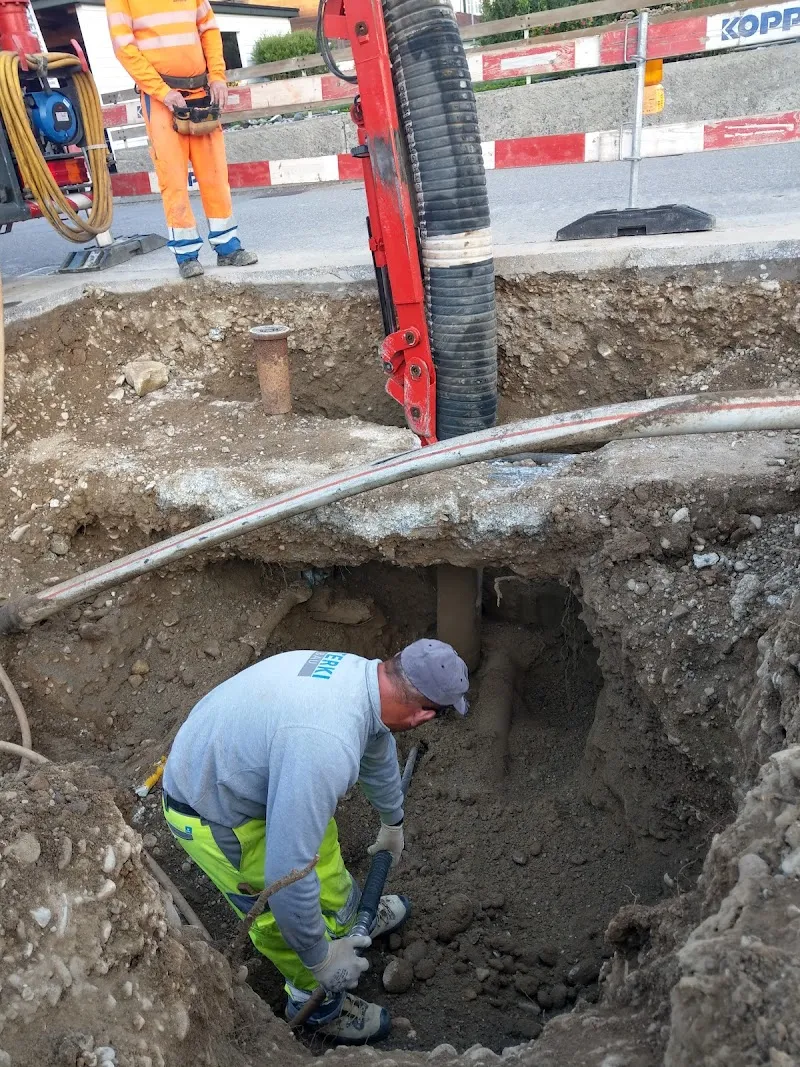 Dres.med.vet. U. & B. Köchli — Tierarzt in Lyss, Bern. 