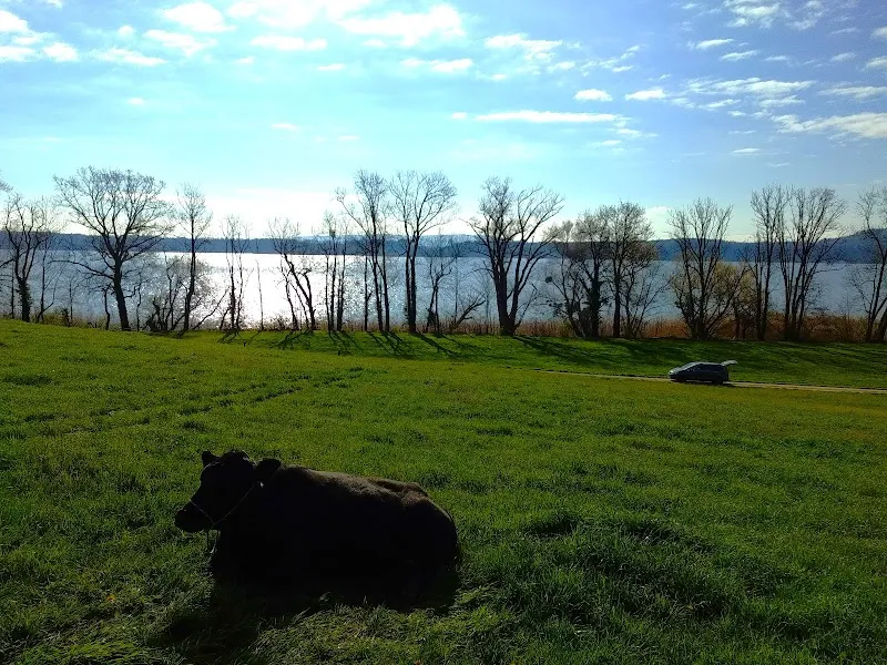 Grosstierpraxis SeelandVet AG — Veterinarian, Täuffelen, Bern. Foto 3