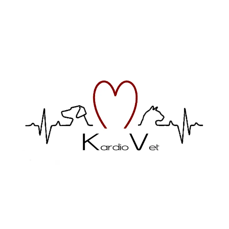 Kardiovet GmbH — Tierarzt in Burgdorf, Bern. Bewertung 5.0/5.