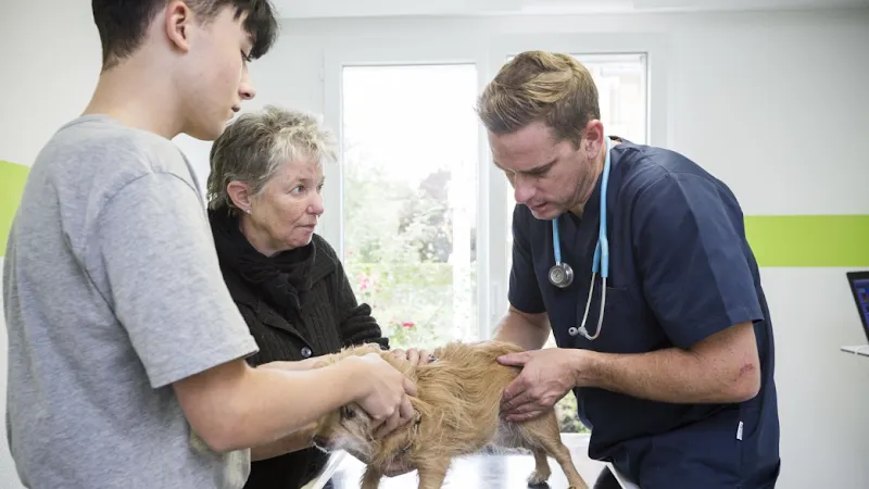 Kleintierklinik S. AG — Tierarzt in Oberflamatt, Freiburg. Bewertung 4.2/5.
