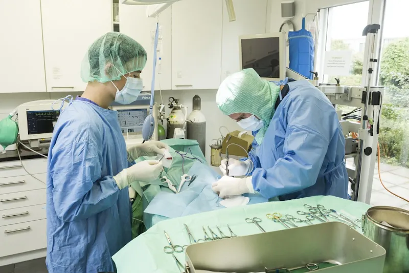 Kleintierklinik S. AG — Tierarzt, Oberflamatt, Freiburg. Foto 2