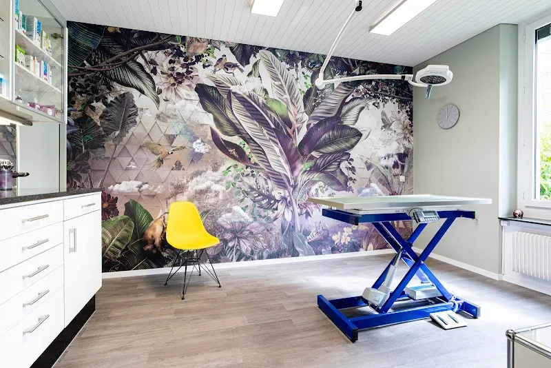 Kleintierpraxis 54 — Tierarzt in Bern, Bern. Bewertung 4.6/5.