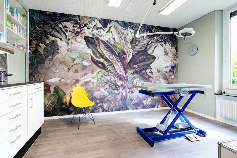 Kleintierpraxis 54 — Vétérinaire, Bern, Berne. Foto 2