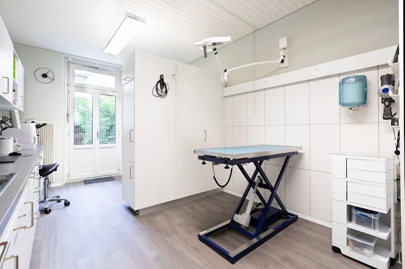 Kleintierpraxis 54 — Vétérinaire, Bern, Berne. Foto 3