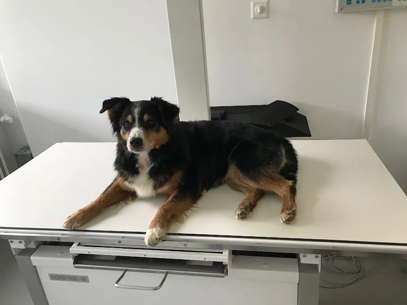 Kleintierpraxis Aare Nord AG — Vétérinaire, Zollikofen, Berne. Foto 2