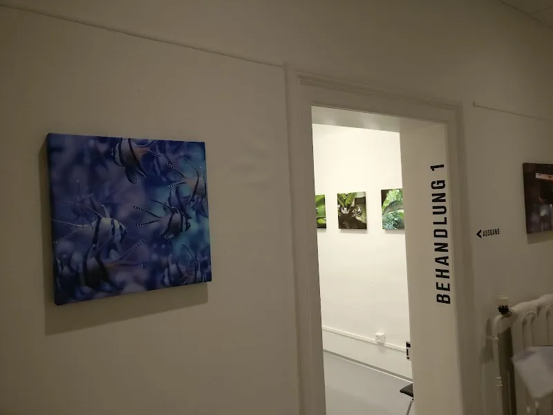 Kleintierpraxis Elfenau GmbH — Vétérinaire, Bern, Berne. Foto 2