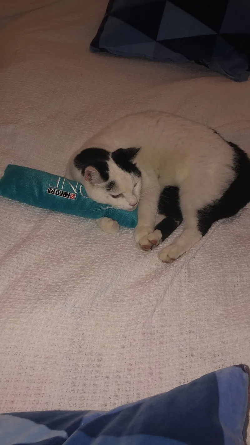 Kleintierpraxis KATUNA — Vétérinaire, Wabern bei Bern, Berne. Foto 3