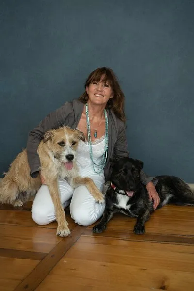 Kleintierpraxis Perreaud Valérie Athena Vet — Tierarzt, Muri bei Bern, Bern. Foto 2