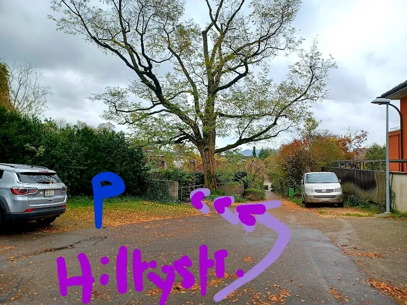 Kleintierpraxis Perreaud Valérie Athena Vet — Tierarzt, Muri bei Bern, Bern. Foto 3