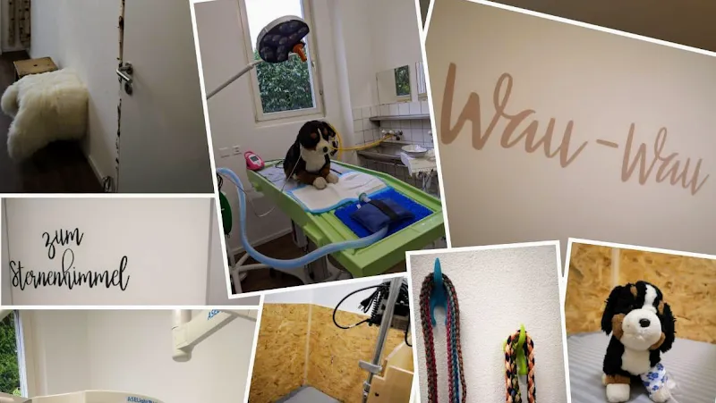 Kleintierpraxis VetPLUS AG — Tierarzt in Hagneck, Bern. Bewertung 4.7/5.