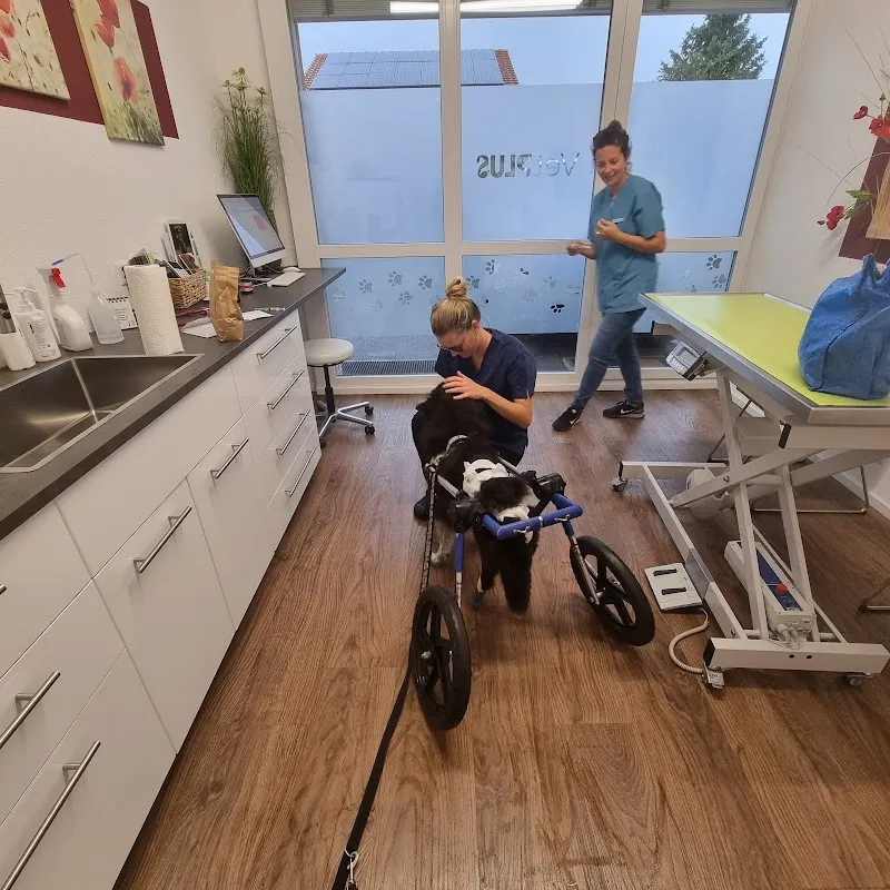 Kleintierpraxis VetPLUS AG — Vétérinaire, Hagneck, Berne. Foto 2