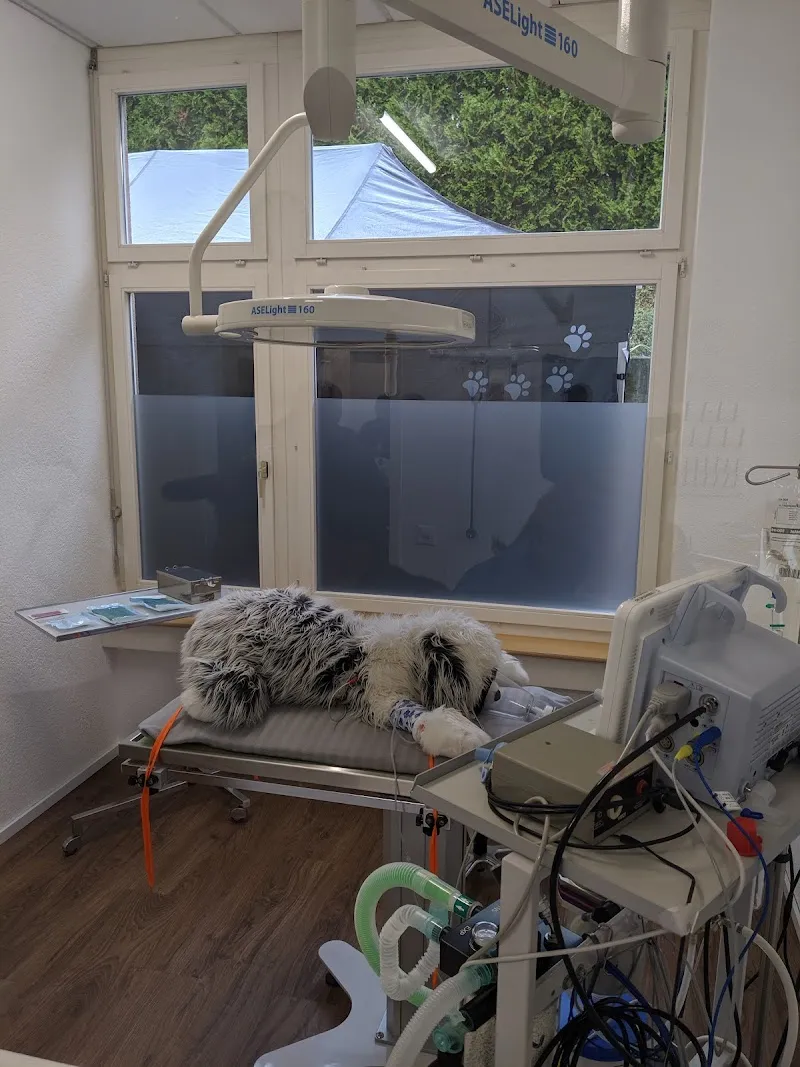 Kleintierpraxis VetPLUS AG — Vétérinaire, Hagneck, Berne. Foto 3