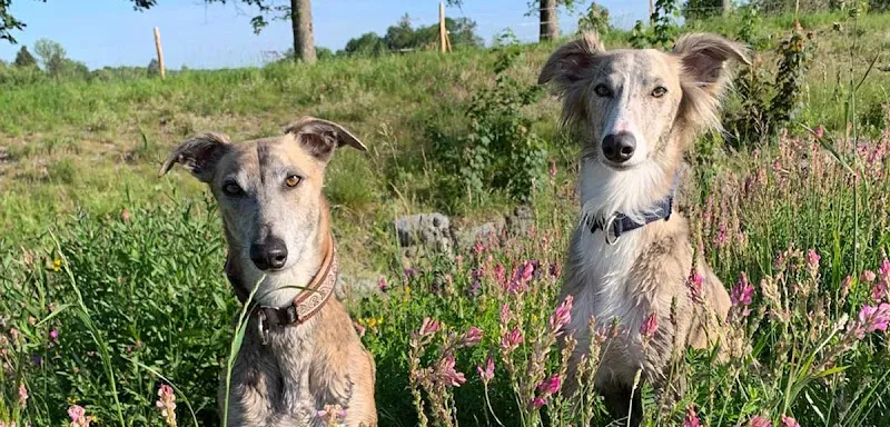 Kleintierpraxis am Bahnhofplatz — Tierarzt in Münsingen, Bern. Bewertung 4.4/5.