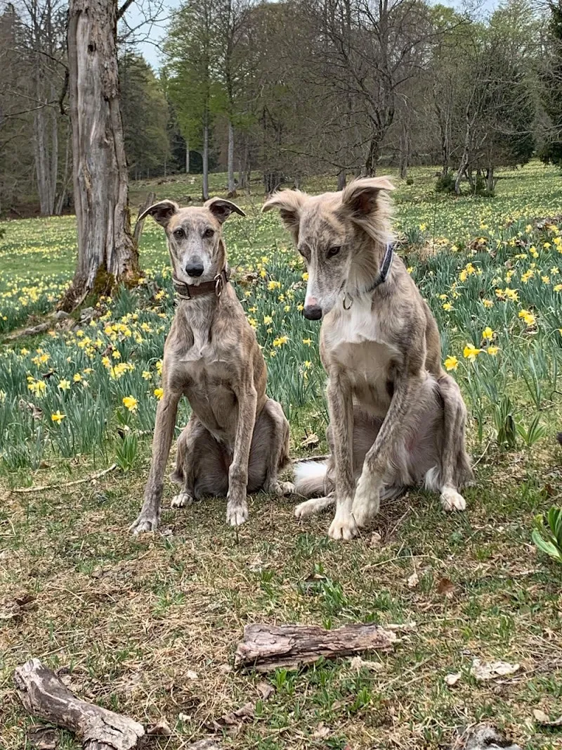 Kleintierpraxis am Bahnhofplatz — Tierarzt, Münsingen, Bern. Foto 2