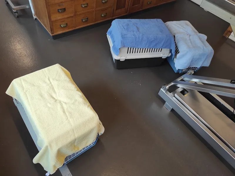 Kleintierzentrum Messen — Tierarzt in Messen, Solothurn. Bewertung 4.9/5.