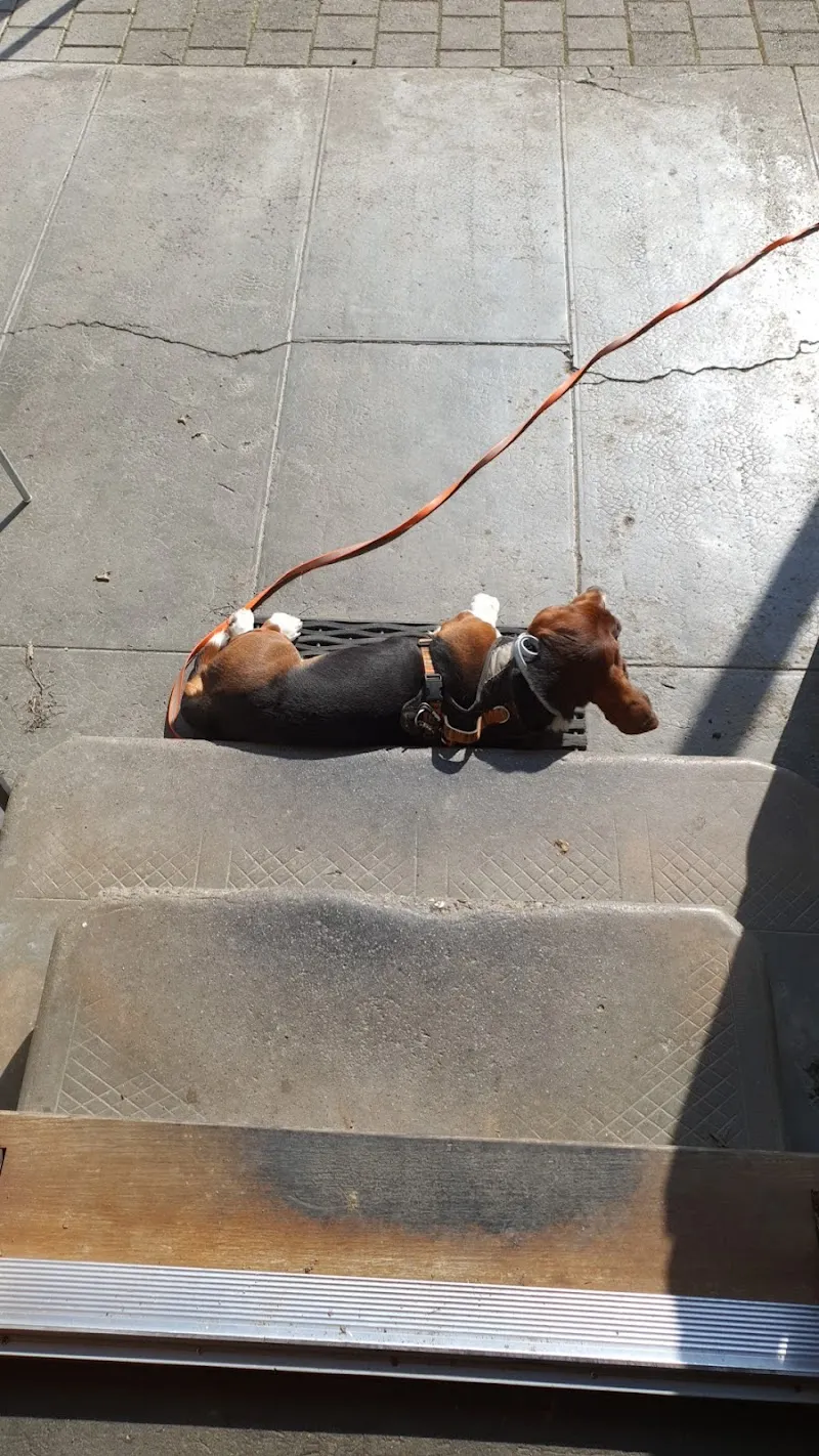 Kleintierzentrum Messen — Tierarzt, Messen, Solothurn. Foto 2