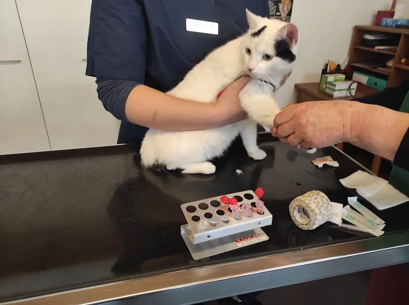 Kleintierzentrum Messen — Tierarzt, Messen, Solothurn. Foto 3