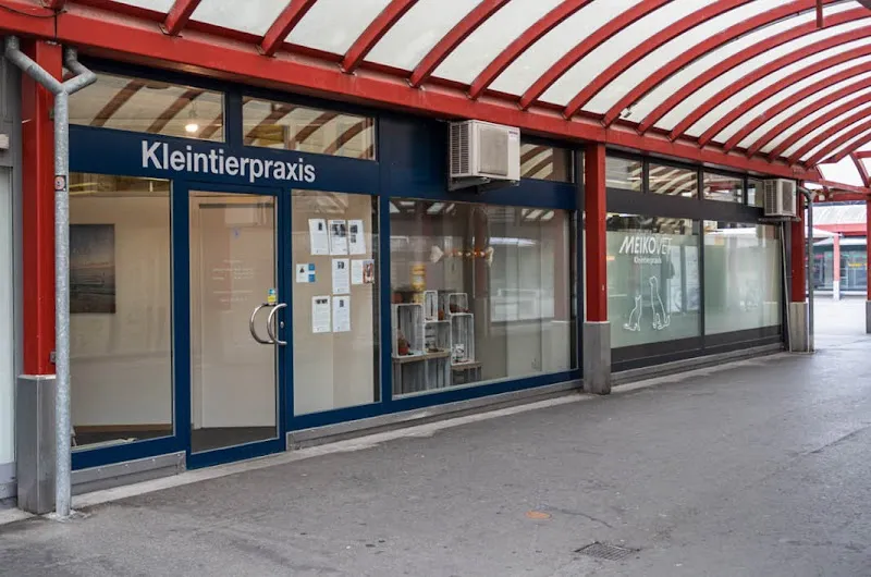 MeikoVet Kleintierpraxis Ittigen — Tierarzt, Ittigen, Bern. Foto 2