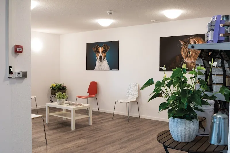 MeikoVet Kleintierpraxis Lyssach — Tierarzt in Lyssach, Bern. Bewertung 4.8/5.