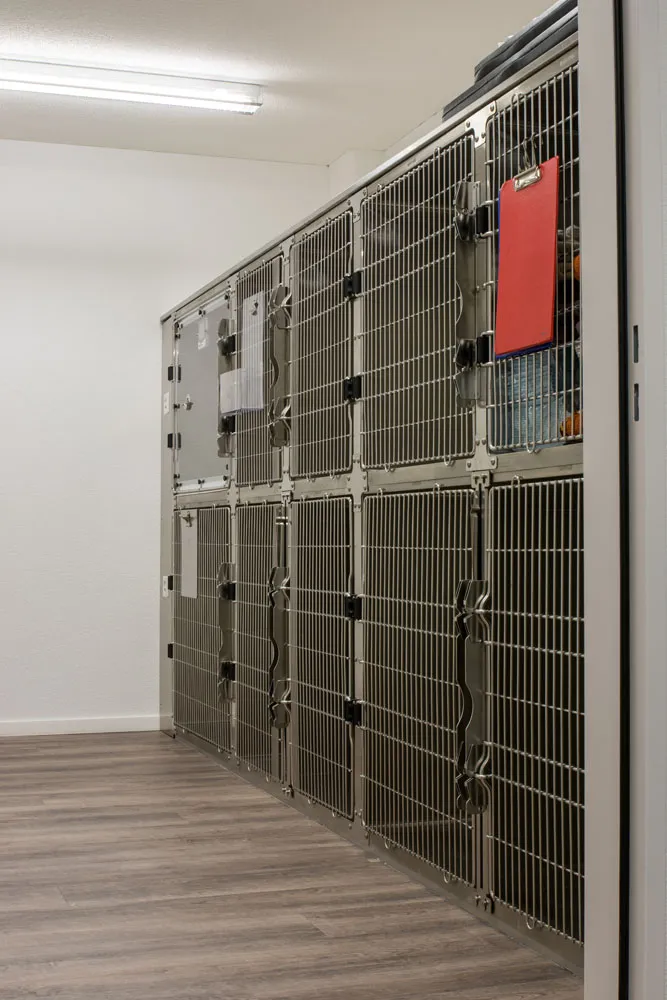 MeikoVet Kleintierpraxis Lyssach — Vétérinaire, Lyssach, Berne. Foto 3