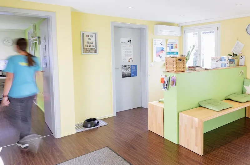 MeikoVet Tierarztpraxis Waldegg Interlaken — Tierarzt in Interlaken, Bern. Bewertung 4.8/5.