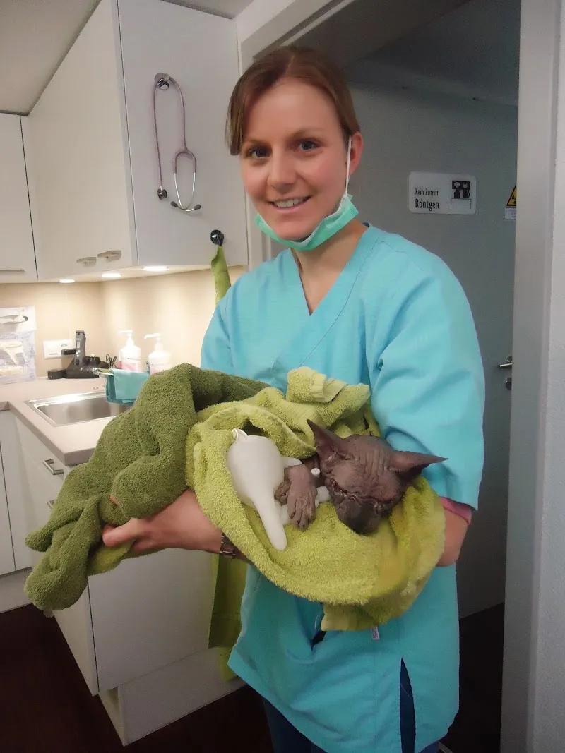 MeikoVet Tierarztpraxis Waldegg Interlaken — Vétérinaire, Interlaken, Berne. Foto 2