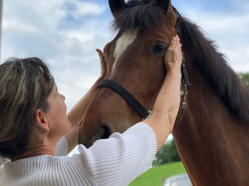 Mobile Tierarztpraxis - Kinesiologie / Verhaltensmedizin — Tierarzt in Ittigen, Bern. Bewertung 5.0/5.