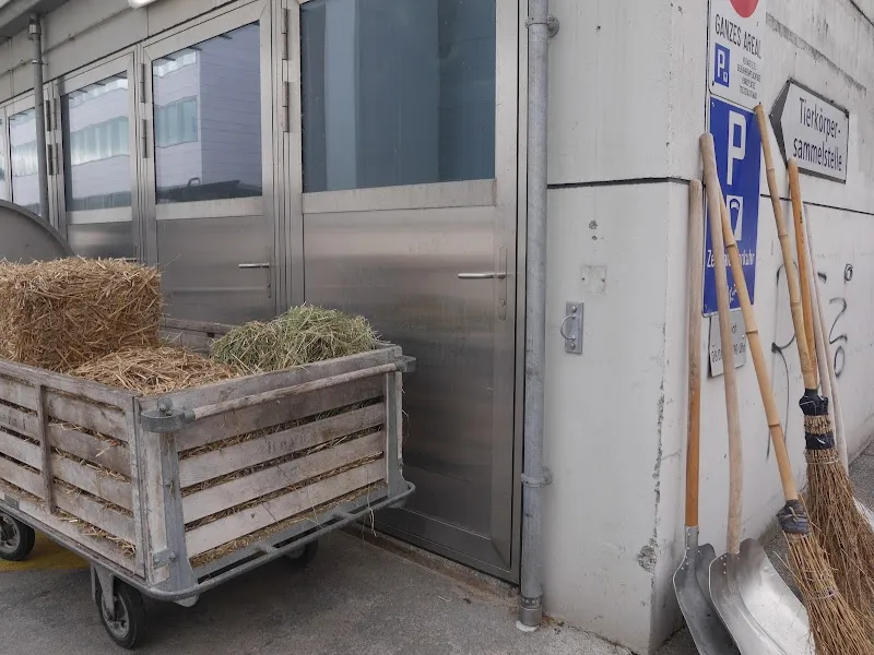 Nutztierklinik — Veterinarian, Bern, Bern. Foto 2